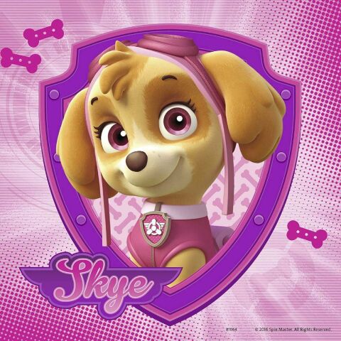 Skye, Paw Patrol 3 X 49 Parça