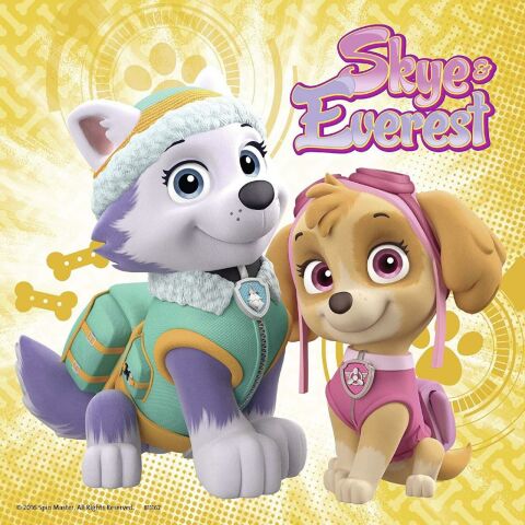 Skye, Paw Patrol 3 X 49 Parça