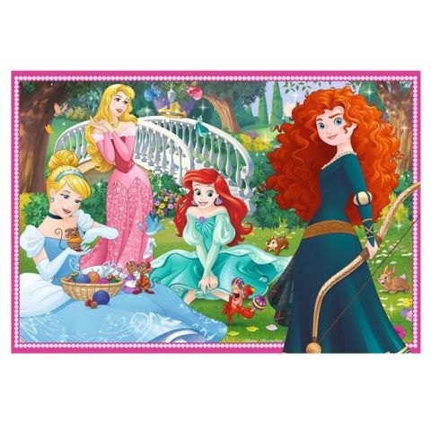 Princess, Disney 2 X 12 Parça