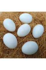 Sahte Tavuk Yumurtası (Yapay Plastik Yumurta) (10 adet)