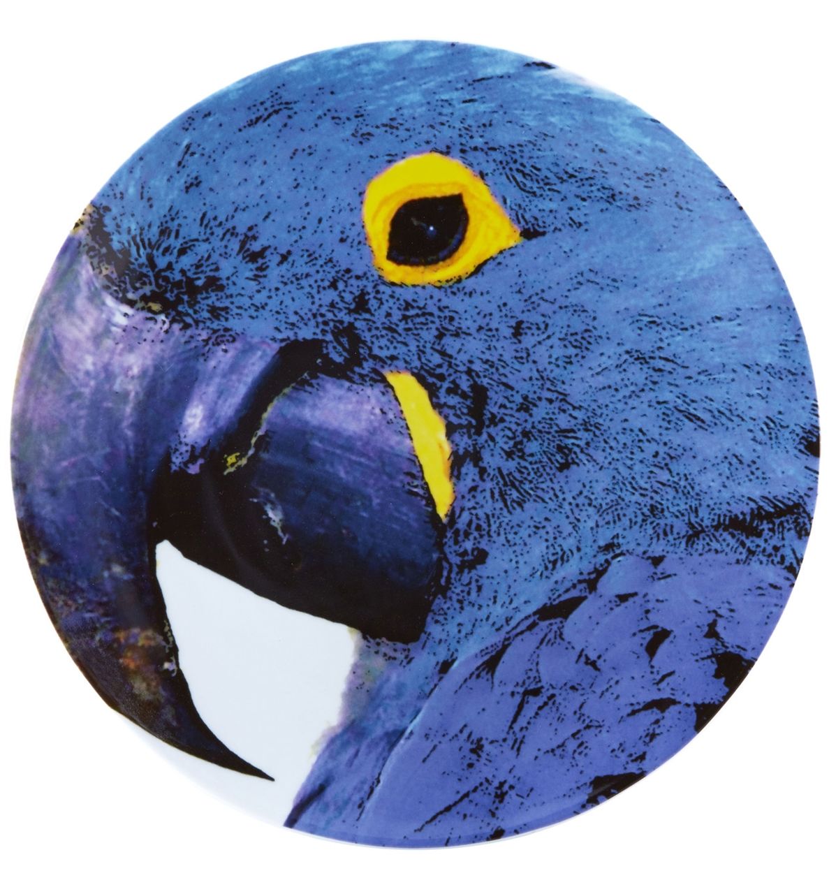 Vista Alegre Tabak Blue Macaw Olhar O Brasil