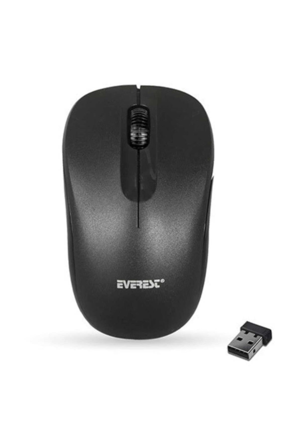 EVEREST SM-165 KABLOSUZ MOUSE