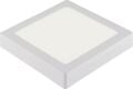HOROZ LED PANEL 36 WATT SIVA ÜSTÜ BEYAZ IŞIK BEYAZ KASA KARE 30X30 SELENA-36