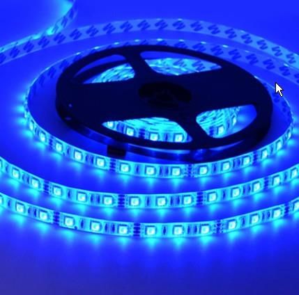 ŞERİT LED 12 V İÇ MEKAN MAVİ 3 ÇİPLİ 5MT BOLLED+CATA