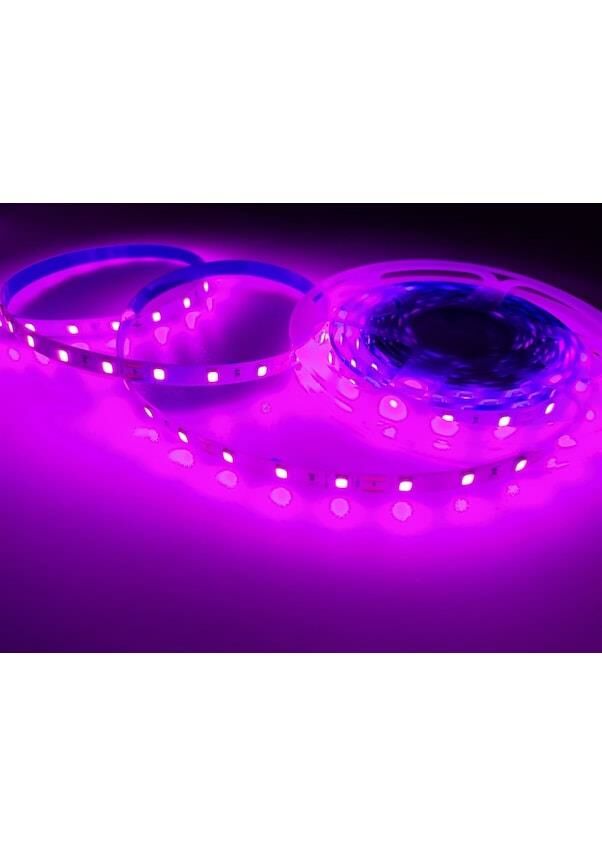 ŞERİT LED 12 V İÇ MEKAN PEMBE 3 ÇİPLİ 5MT CATA