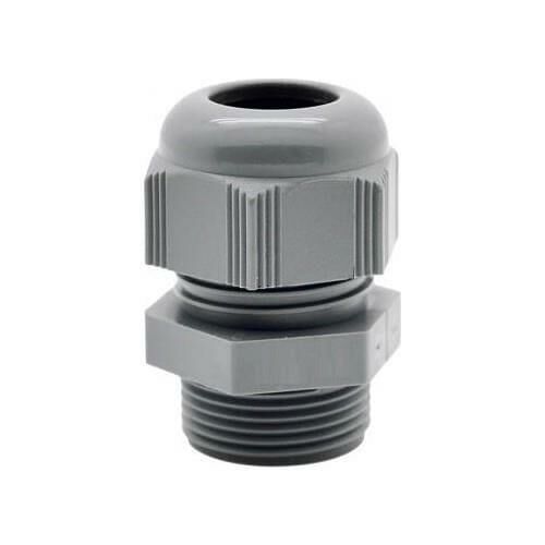 PANO REKORU 11 LİK MUTLUSAN