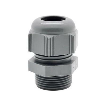 PANO REKORU 21 LİK MUTLUSAN