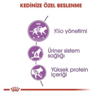 Royal Canin Sterilised 2 kg Kısırlaştırılmış Yetişkin Kedi Maması