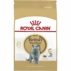 Royal Canin British Shorthair 2 Kg Yetişkin Kuru Kedi Maması