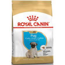 Royal Canin Pug 25 Irkına Özel Junior 1.5 kg Yavru Köpek Maması