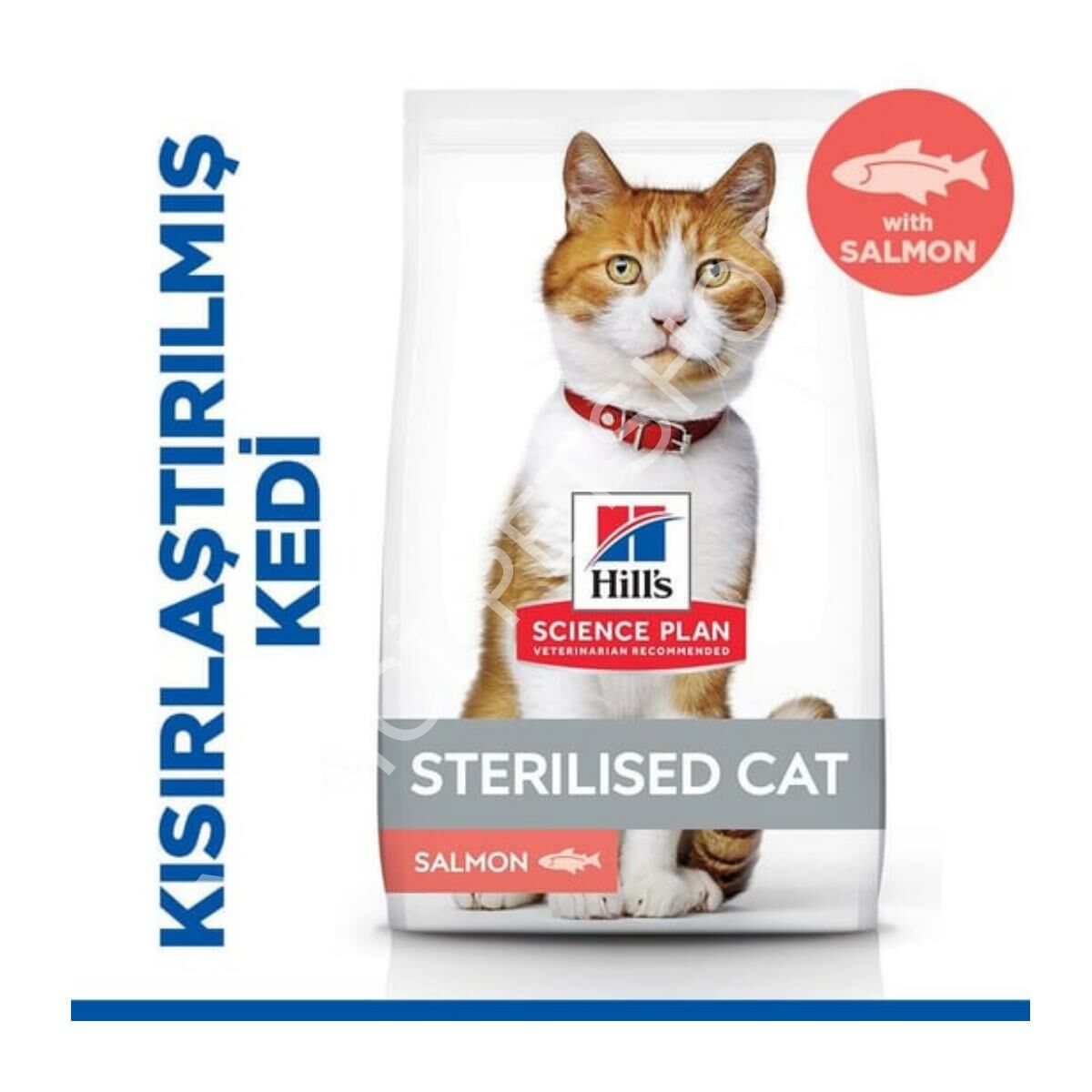 Hill's SCIENCE PLAN Somonlu Kısırlaştırılmış Yetişkin Kedi Maması 13+2 kg