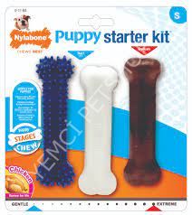 Nylabone Puppy Starter Kit S