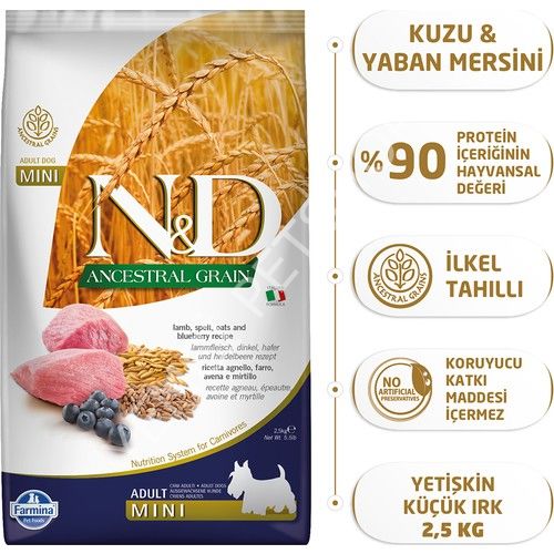 N&D Ancestral Grain Düşük Tahıllı Kuzu Etli ve Yaban Mersinli 2.5 kg Küçük Irk Yetişkin Köpek Maması