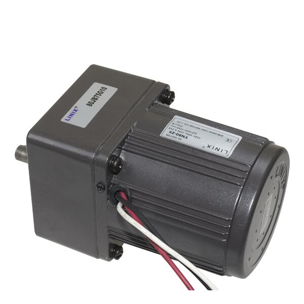 80mm 220V 16RPM AC Motor YN80-230-25