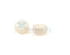 Permanent Molar Pediatrik Zirkon Kron Evaluation Kit 16'lık