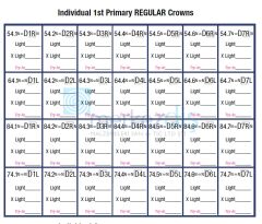 First Primary Regular Molar Pediatrik Zirkon Kron Refill