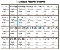 Second Primary Molar Pediatrik Zirkon Kron Refill