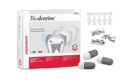 Biodentine Bioaktif Dentin Tamir Materyali