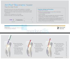 AH Plus Bioceramic Sealer Kanal Dolgu Patı