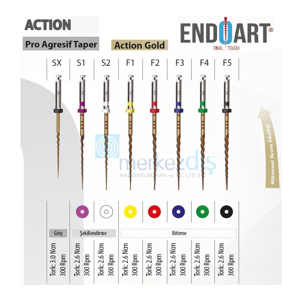 EndoArt Action Gold Rotary Kanal Eğesi 6'lı Kutu 25 mm