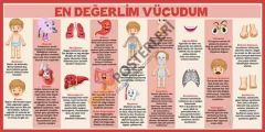 En Değerlim Vücudum Okul Posteri