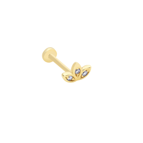 Lotus Altın Tragus