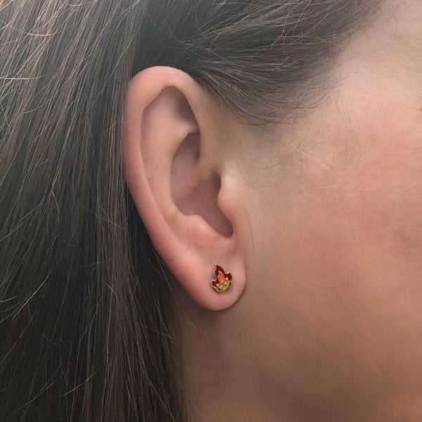 Alev Altın Tragus