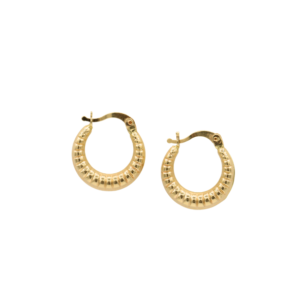 Mini Çizgili Altın Halka Küpe