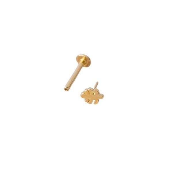 Yaprak Tragus