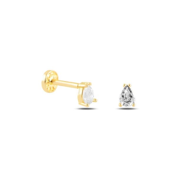 Tektaş Tragus