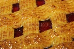 FO VİŞNELİ PASTA DOLGUSU (%35 VİŞNE) 5 KG