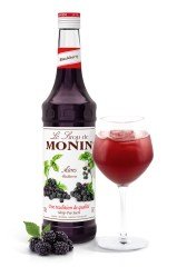 MONİN BÖĞÜRTLEN ŞURUBU 700 ML