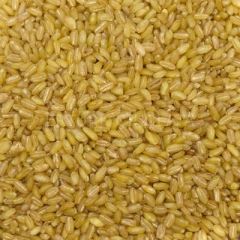 BAŞHAN BALDO BULGUR 5000 GR ÇUVAL