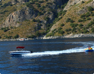 Nitrat ve fosfatın akvaryumlarının biyolojik dengesi 
