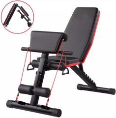 Leyaton Multiposition & Biceps Combo Bench Sehpa