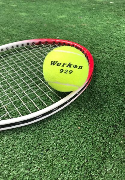 Werkon 3 Adet Antrenman Tenis Topu Sarı
