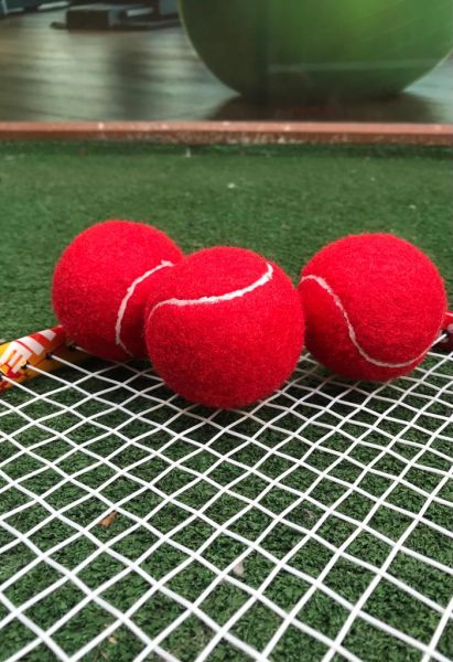 Werkon 3 Adet Antrenman Tenis Topu Kırmızı