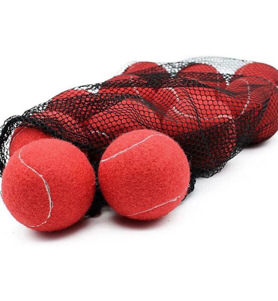 Werkon 12 Adet Antrenman Tenis Topu Kırmızı