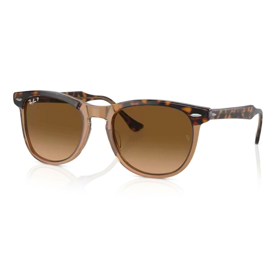 Ray-Ban Eagleeye RB 2398