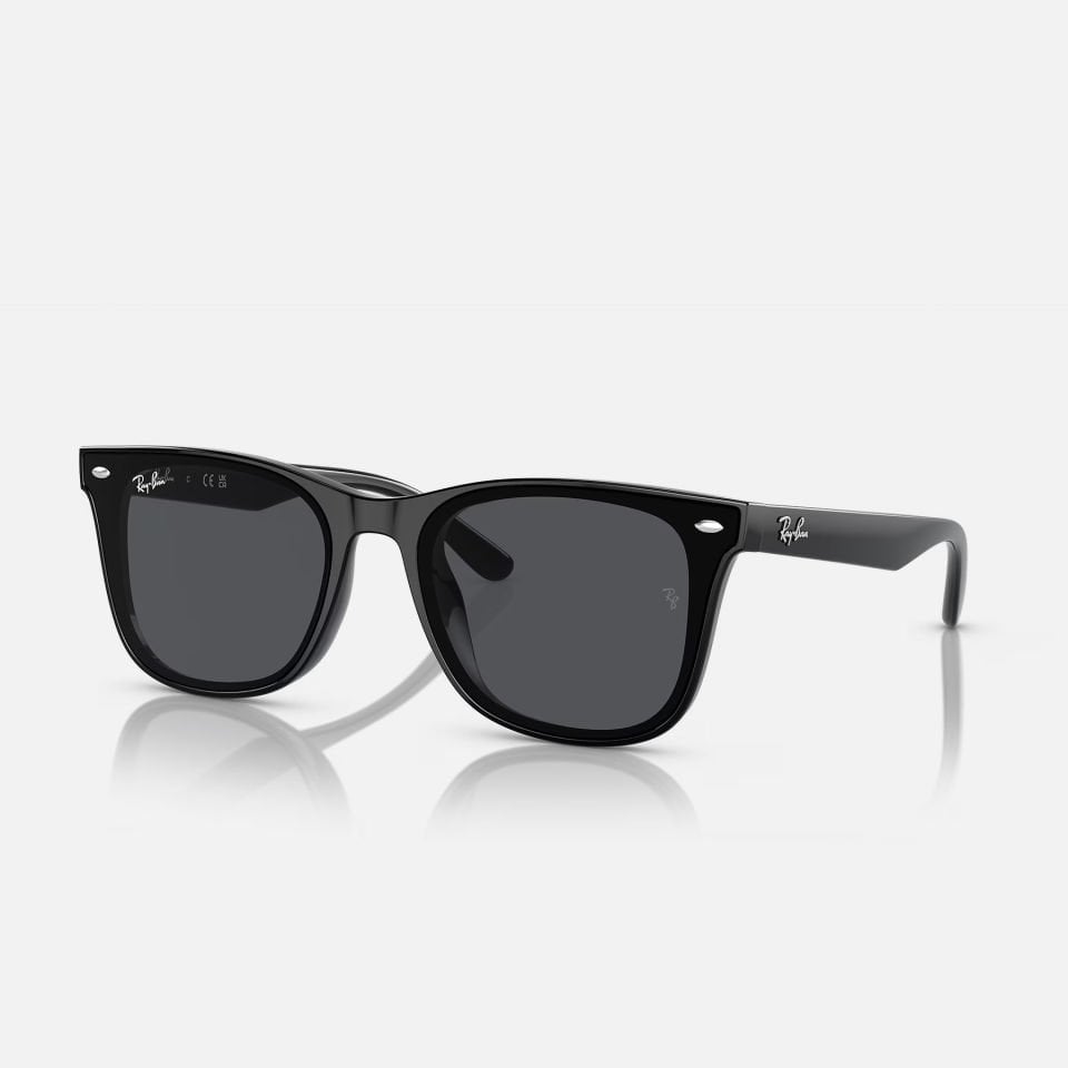 Ray-Ban RB 4420