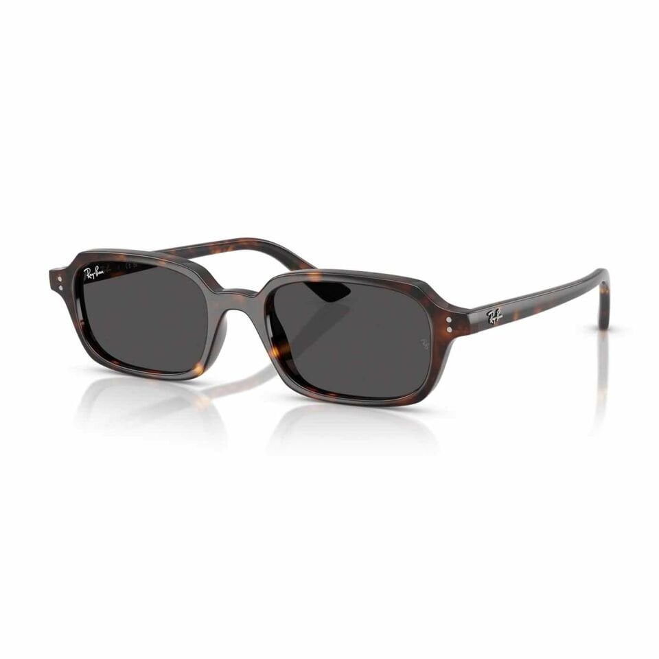 Ray-Ban Zuri RB 4455