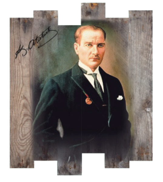 O-02	Özel Panel Atatürk