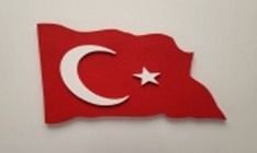 999-301 Küçük Dalgalı Türk Bayrağı 53*37 cm