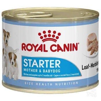 Royal Canin Starter Mousse Anne Ve Yavruları İçin Köpek
