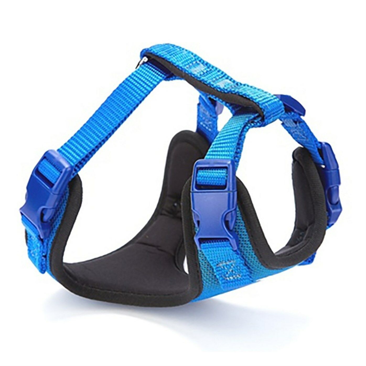 Doggie PDGT10XS Royal Blue Göğüs Tasması