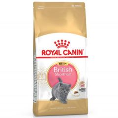 Royal Canin Kitten British Shorthair Yavru Irk Kedi Maması 2 Kg