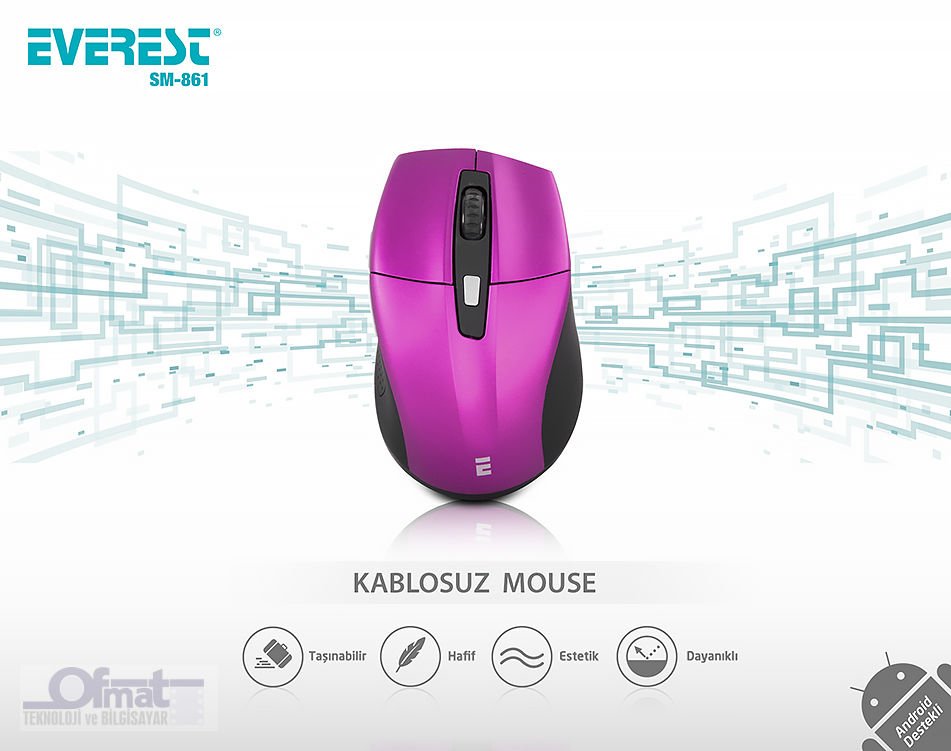 EVEREST SM-861 USB MOR 800/1200/1600 DPİ SÜPER SESSİZ KABLOSUZ MOUSE