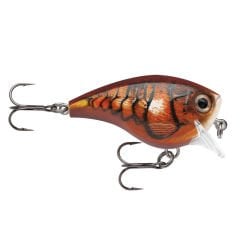 Rapala Bx Brat Sahte Balığı