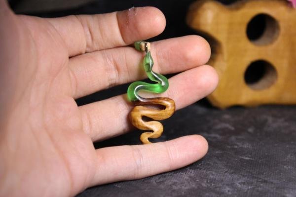 Yılan (Serpentes)