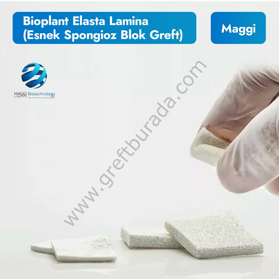 Maggi Bioplant Elasta Lamina ( Esnek Spongioz Blok Greft)